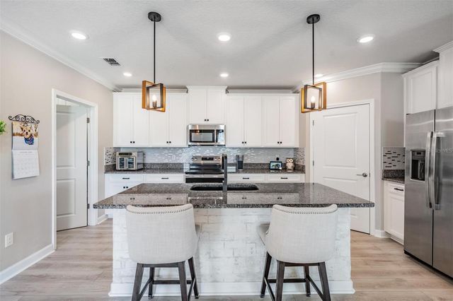 10444 WELDON CORK WAY, San Antonio, FL 33576