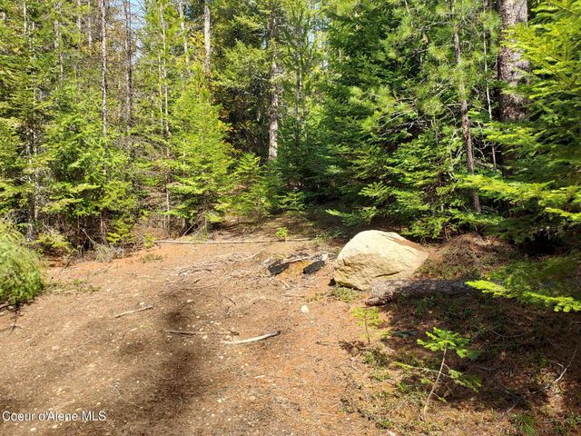 NKA N Whittum Rd, Priest River, ID 83856