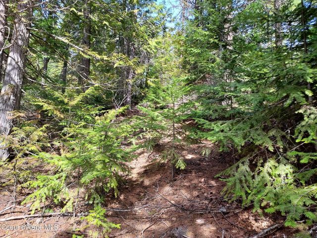 NKA N Whittum Rd, Priest River, ID 83856