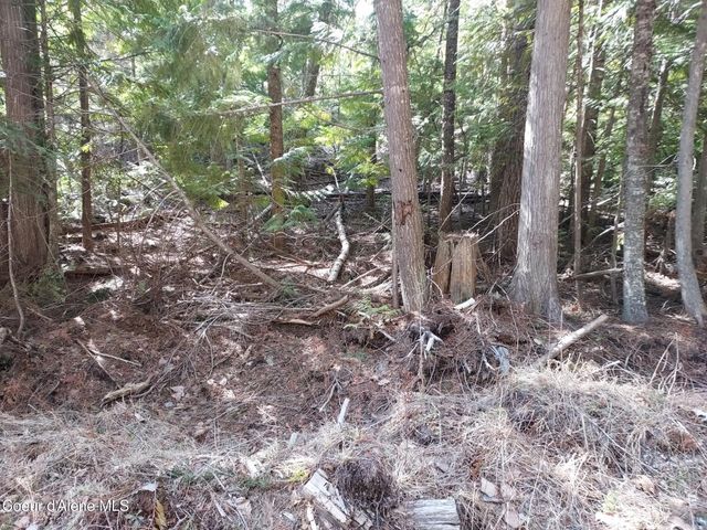 NKA N Whittum Rd, Priest River, ID 83856