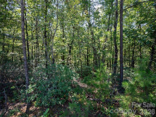 0 Deep Gap Farm Road W 2007, Mill Spring, NC 28756