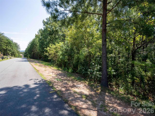 0 Deep Gap Farm Road W 2007, Mill Spring, NC 28756