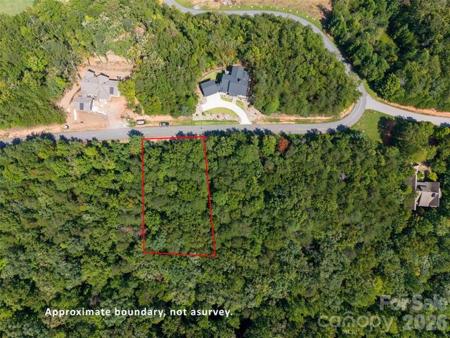 0 Deep Gap Farm Road W 2007, Mill Spring, NC 28756