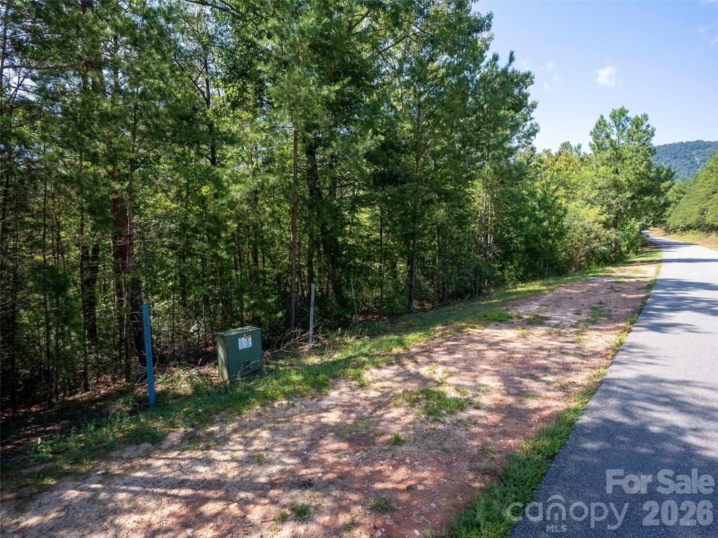 0 Deep Gap Farm Road W 2007, Mill Spring, NC 28756