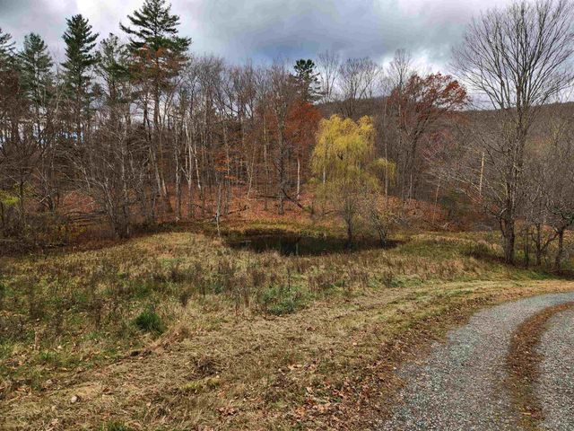 1266 Little Village Road, Danby, VT 05761