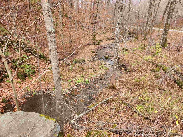 1266 Little Village Road, Danby, VT 05761