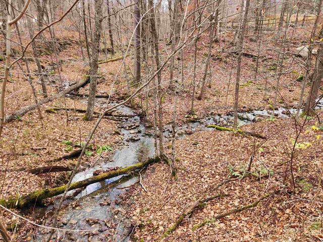 1266 Little Village Road, Danby, VT 05761