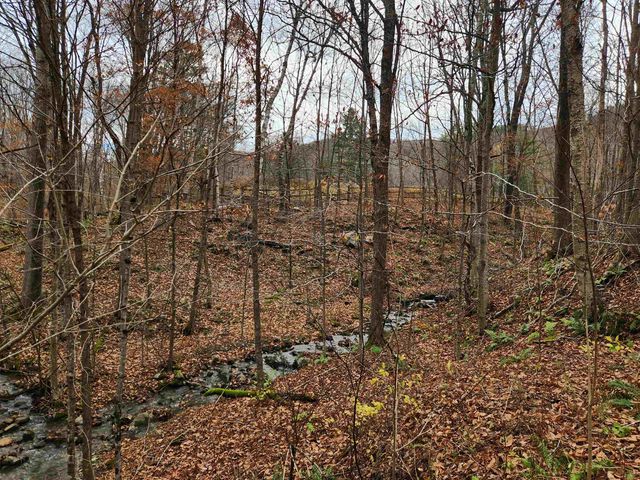 1266 Little Village Road, Danby, VT 05761