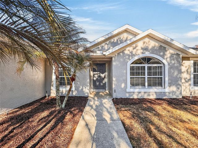 14309 GOLDEN VIEW DRIVE, Grand Island, FL 32735