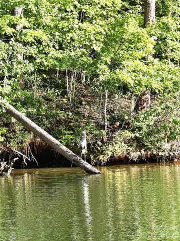 00 Hawk Ridge Drive 8, Mill Spring, NC 28756