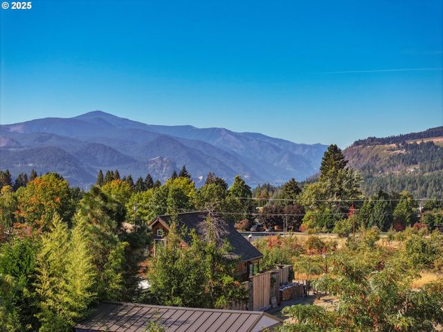 1195 Nw BAKER Dr, White Salmon, WA 98672