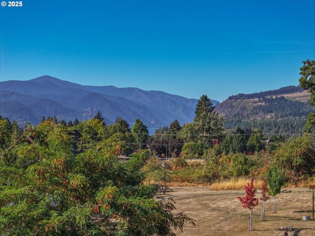 1195 Nw BAKER Dr, White Salmon, WA 98672