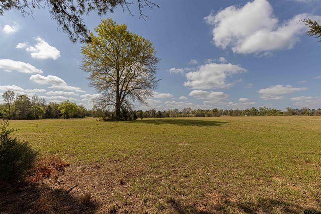 11810 County Rd 3101, Winona, TX 75792