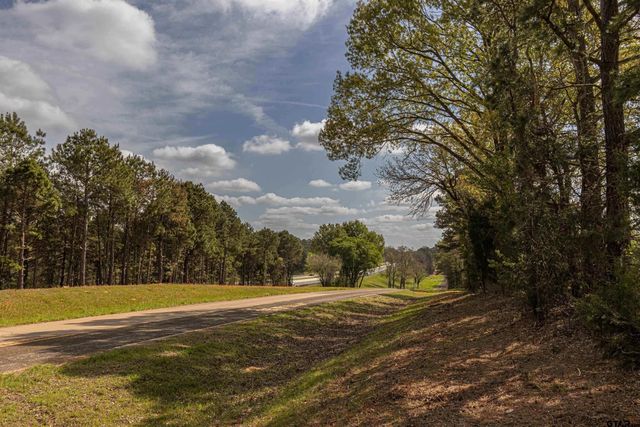 11810 County Rd 3101, Winona, TX 75792
