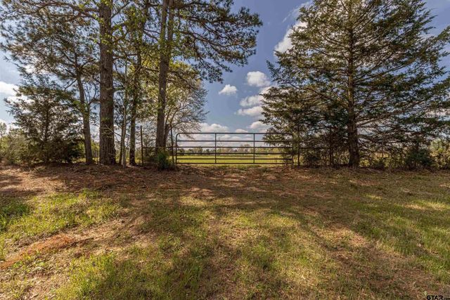 11810 County Rd 3101, Winona, TX 75792