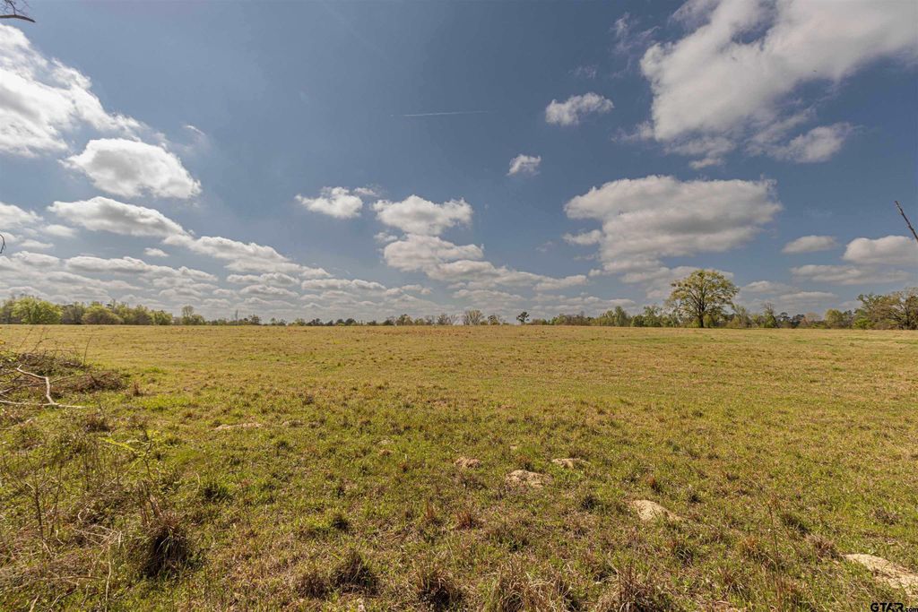 11810 County Rd 3101, Winona, TX 75792