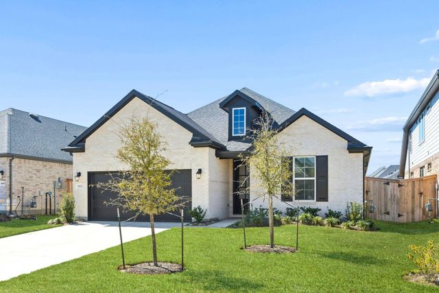 16022 Tangled Vine Lane, Conroe, TX 77302