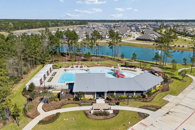 16022 Tangled Vine Lane, Conroe, TX 77302