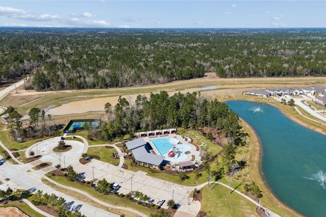 16022 Tangled Vine Lane, Conroe, TX 77302