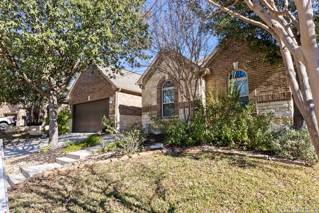 3843 Ox-Eye Daisy, San Antonio, TX 78261
