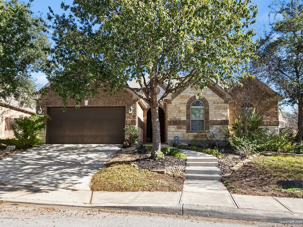 3843 Ox-Eye Daisy, San Antonio, TX 78261