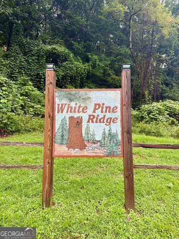 LOT 15 White Pine Ridge, Hayesville, NC 28904