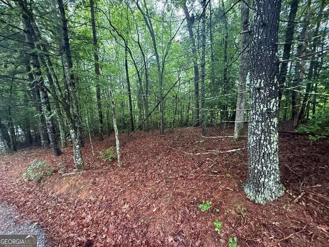 LOT 15 White Pine Ridge, Hayesville, NC 28904