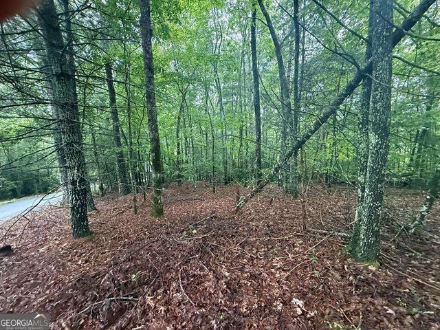 LOT 15 White Pine Ridge, Hayesville, NC 28904