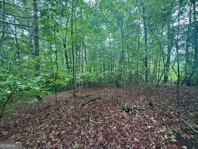LOT 15 White Pine Ridge, Hayesville, NC 28904