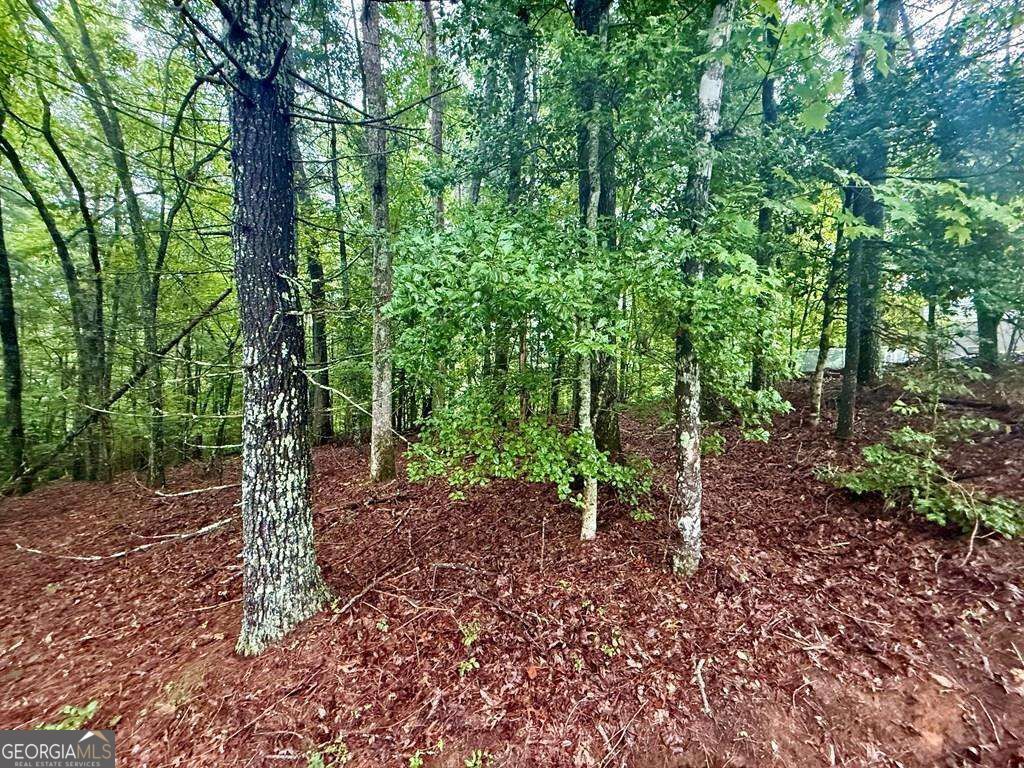 LOT 15 White Pine Ridge, Hayesville, NC 28904