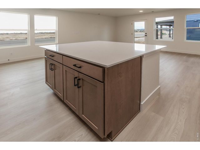 947 Trumpet Ln, Windsor, CO 80550