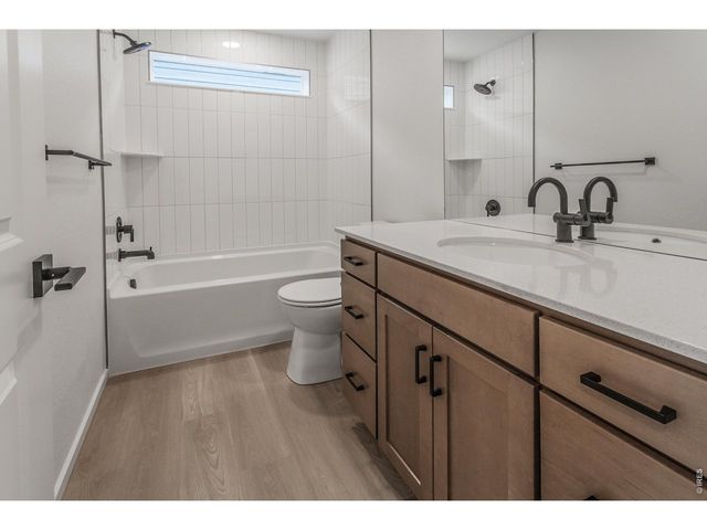 947 Trumpet Ln, Windsor, CO 80550