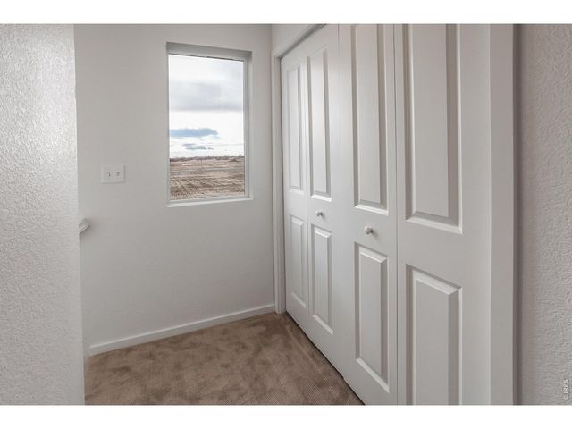 947 Trumpet Ln, Windsor, CO 80550