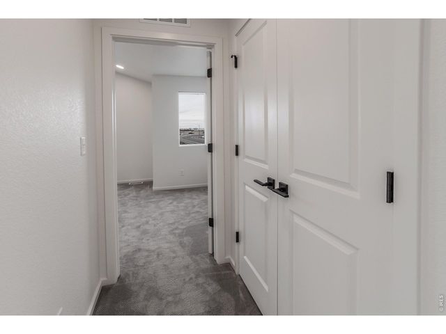 947 Trumpet Ln, Windsor, CO 80550