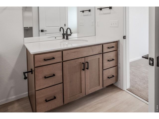947 Trumpet Ln, Windsor, CO 80550