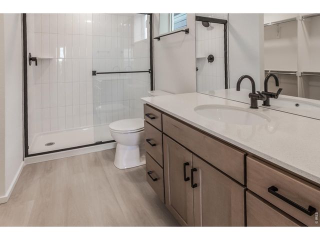 947 Trumpet Ln, Windsor, CO 80550