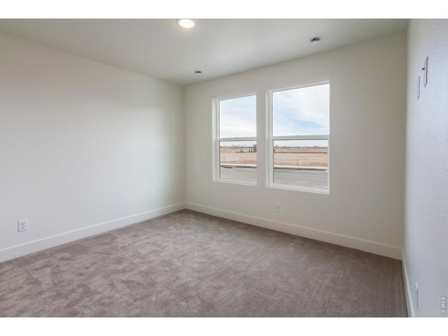 947 Trumpet Ln, Windsor, CO 80550