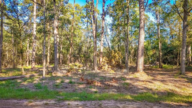 TBD Summer Place, Livingston, TX 77351