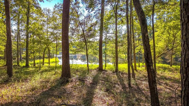 TBD Summer Place, Livingston, TX 77351