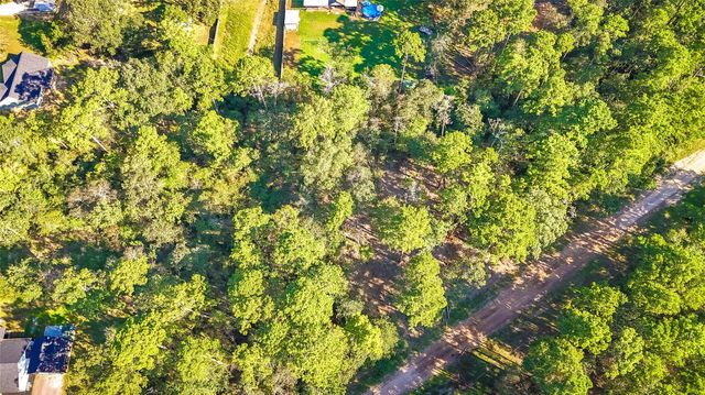 TBD Summer Place, Livingston, TX 77351