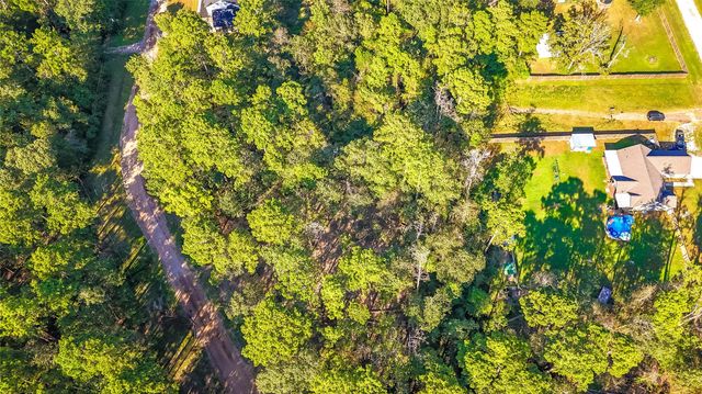 TBD Summer Place, Livingston, TX 77351