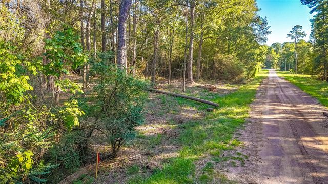 TBD Summer Place, Livingston, TX 77351