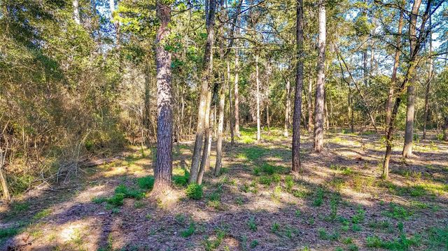 TBD Summer Place, Livingston, TX 77351