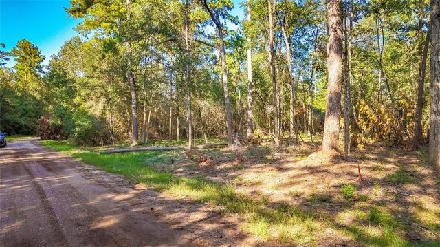 TBD Summer Place, Livingston, TX 77351