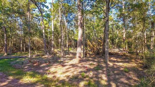TBD Summer Place, Livingston, TX 77351