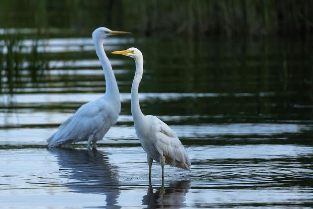 633 Quintana Roo Place, Seabrook, TX 77586