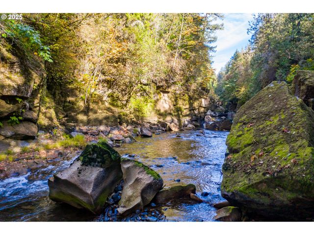 48785 SANTIAM Hwy, Cascadia, OR 97329