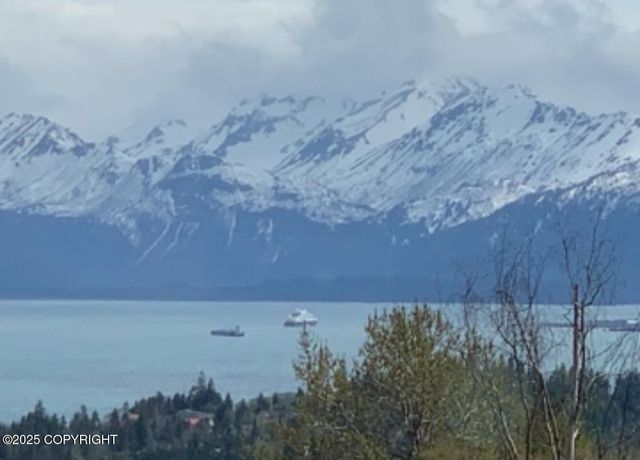 2960 Golden Plover Avenue, Homer, AK 99603