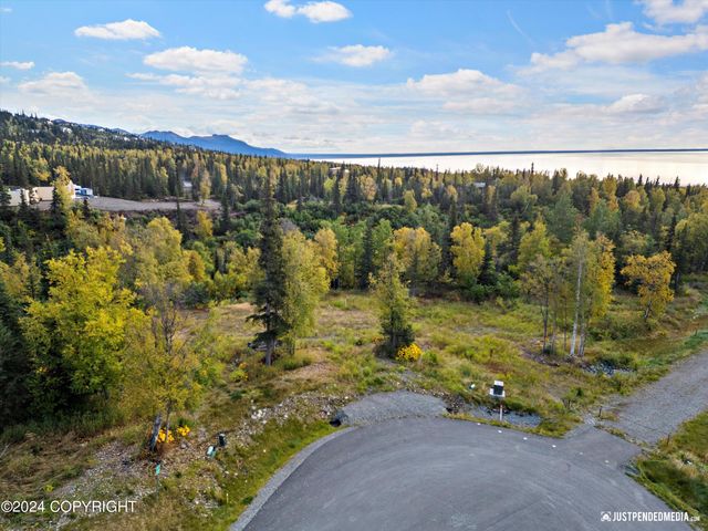 L2A Snow Flake Circle, Anchorage, AK 99516