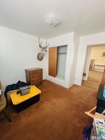750 Grinnel Avenue, Lovelock, NV 89419